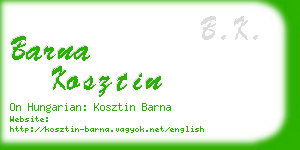 barna kosztin business card